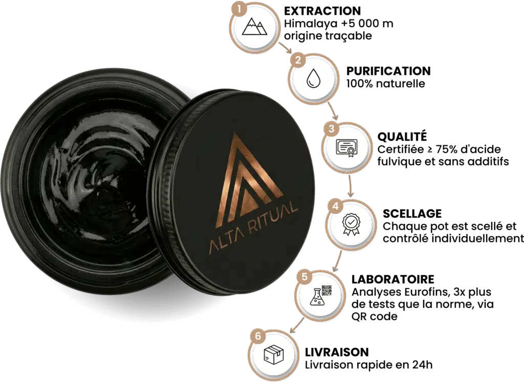 Etapes Shilajit MASTER